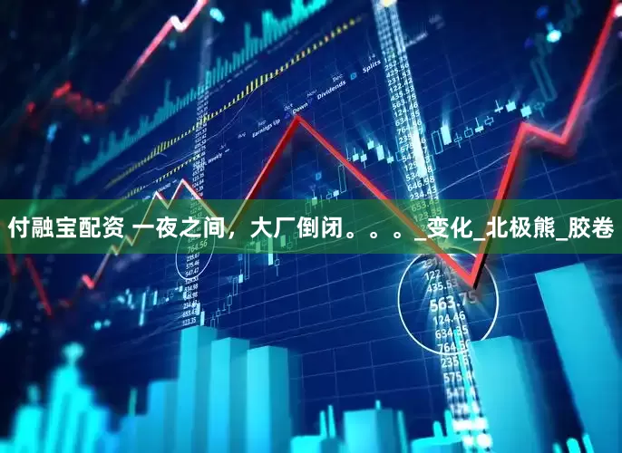 付融宝配资 一夜之间，大厂倒闭。。。_变化_北极熊_胶卷