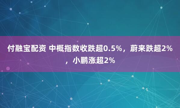 付融宝配资 中概指数收跌超0.5%，蔚来跌超2%，小鹏涨超2%